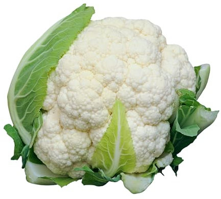 Winter Vegetable Plants, Mixed Multi-Pack Bundle, Cabbages, Cauliflowers, Broccoli, Brussels, 24 x Plug Plant Pack, Grow Your Own, Garden Ready and Ready to Plant, Premium Quality Vegetables