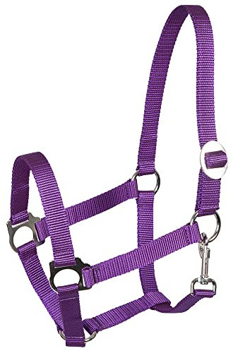 Pfiff 005543 Halfter, Weidehalfter Stallhalfter, Kunststoff Lila Pony Groß