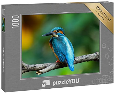puzzleYOU: Puzzle 1000 Teile „Eisvogel“