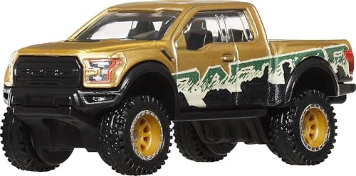 Hot Wheels Premium Car Culture Sammel-Spielzeugauto, Die-Cast '17 Ford F150 Raptor im Maßstab 1:64, Geländefahrzeug mit Real-Riders-Reifen, JBK70