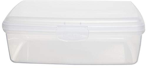 Allstore Aufbewahrungsbox mit Scharnier, 0,5 l, transparent, Boxmaterial Kunststoff, Box Typ Allzweck-Aufbewahrung, Außentiefe: 15 cm, Außentiefe: 150 mm, Außenhöhe – Impe