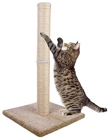 Dimaka 73cm Groß Kratzbaum für Katzen, Kratzsäule mit Sisalstangen und Teppichboden