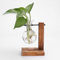 Glas-Pflanzgefäß, Blumenzwiebel-Vase, Desktop Air Plant Terrarium Kit mit Retro Massivholz Ständer, Pflanze Anzuchtstationen Terrarium for Indoor Wasserpflanzen Home Garden Office Dekoration Zubehör