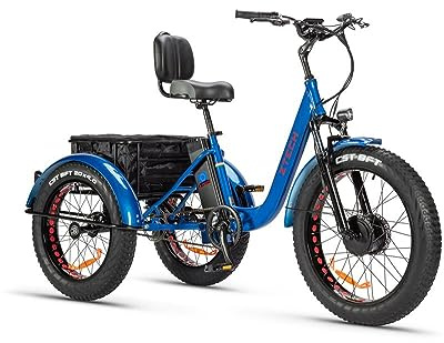 Tecnobike Shop Bici Bicicletta Elettrica Pedalata Assistita Triciclo Bicicletta Elettrica Z-TECH ZT-80-A FAT TRIKE 3 Ruote 250W 13 Ah 48V Batteria Litio e-Bike con Pedali e-Bicycle (Blu)