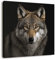 Ceanothe Tableau sur toile portrait loup 45x45 cm Décoration Murale Art Décoratif Muraux Peinture Imprimée en HD Salon Chambre Bureau Bois de Forêt FSC Fabriqué en France