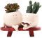 Mineup Pot de Fleurs avec Visage, Pot de Fleurs avec Double Joueur, Pot de Fleurs avec Trou de Drainage, Souriant Pot Fleur en Résine, Pot de Fleur Rigolo pour intérieur extérieur, Cadeau pour mère