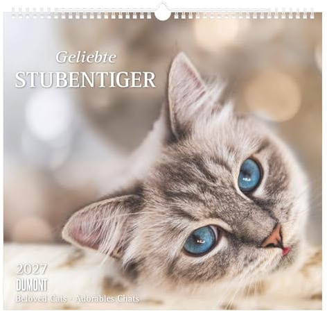 Geliebte Stubentiger 2027: Wandkalender 38x35,5cm mit 12 Katzenmotiven und 3-sprachigem Kalendarium