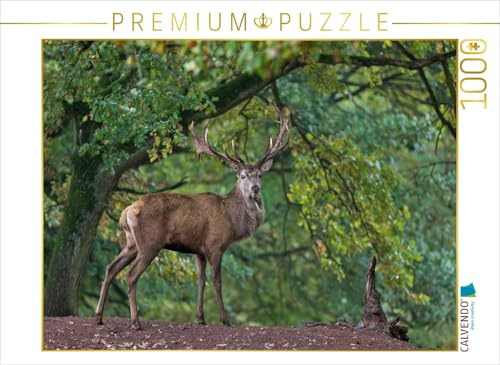 CALVENDO Puzzle König des Waldes | 1000 Teile Lege-Größe 64 x 48 cm Foto-Puzzle für glückliche Stunden