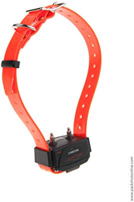 Collier Seul/SUPPLEMENTAIRE CANICOM avec Sangle Orange Fluo - Dressage pour Chien