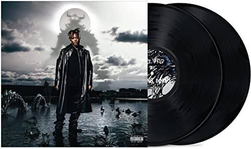 Fighting Demons (2LP) [Vinyl LP]