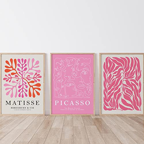 Dittelle Henri Matisse Mur Art Affiches et Gravures Blush Saumon Rose Toile Peinture Abstraite Ligne Photos Pour Salon Décor 30x45cm-3Pieces Sans Cadre