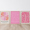 Dittelle Henri Matisse Mur Art Affiches et Gravures Blush Saumon Rose Toile Peinture Abstraite Ligne Photos Pour Salon Décor 30x45cm-3Pieces Sans Cadre