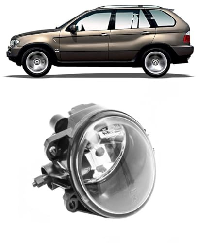 DM Autoteile 108011 Nebelscheinwerfer Nebelleuchte Nebellicht NSW rechts kompatibel für BMW X5 (E53)