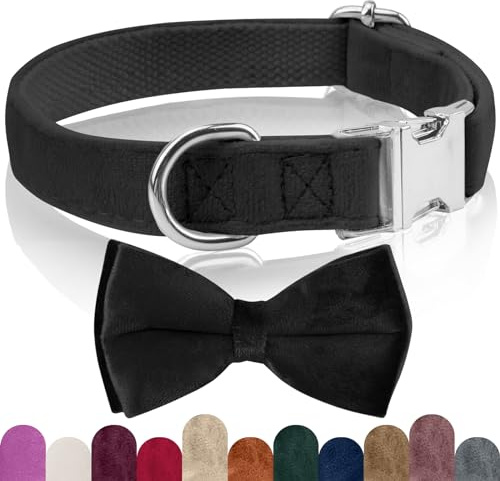 KTWSUEF Hundehalsband Samtiges, mit Abnehmbarer Hunde Fliege, Komfortable Verstellbares Samtige Halsband Hund, Geeignet für Hunde Kleine Mittel große Hunde, Für Hochzeiten, Geburtstage, Partys usw