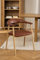Design Esszimmerstuhl SA-1 Cognac Braun Stuhl Stühle Leder Brandy, Farbe:Cognac Braun