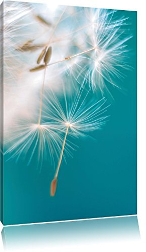 Pixxprint Wunderschöne Pusteblume, Größe: 80x60cm, Leinwandbild, fertig gespannt, Wandbild, Dekoration, Kunstdruck, kein Poster