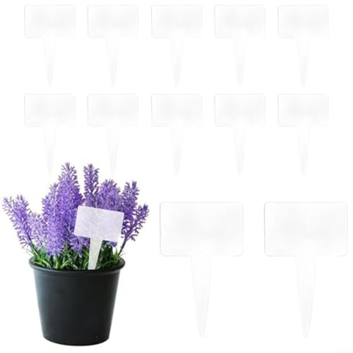 Kräutergartenetiketten aus Acryl, zum Beschriften von Blumen, Obstbäumen und Setzlingen mit stabiler Konstruktion, 12 Stück