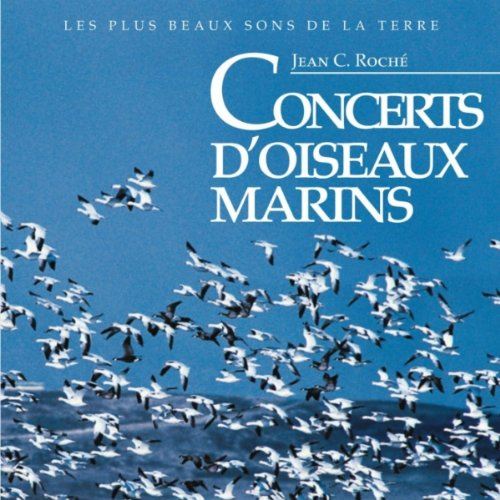 Concerts D'oiseaux Marins