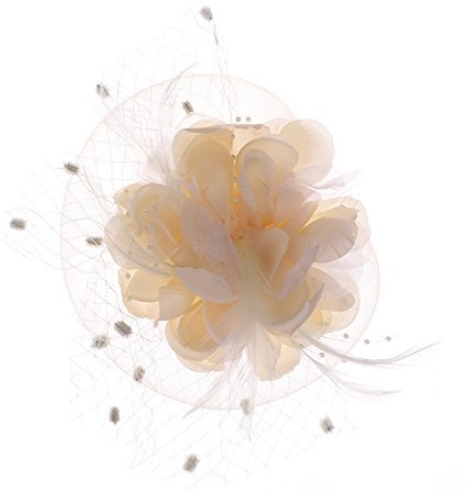 SIQITECH Organza Hut Damen Faszinator Kopfschmuck Mesh Feder Bankett Hut Elegant Retro Kopfbedckung Hochtzeit Pillbox Hut mit Haarspangen Damenhut für Karneval Kirche Cocktail Party