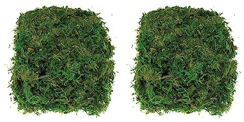 Baker Ross AV898 Getrocknetes Moos zum Basteln-100g, Terrarium Deko, Für Erwachsene und Kinder zum Basteln, Modellbau Zubehör, Grün, a_NA (Packung mit 2)