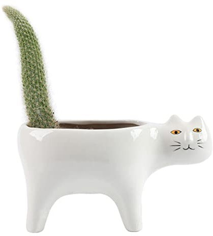 Agwuoetr Mignon Chat en CéRamique Jardin Pot de Fleur Animal Image Cactus Plante JardinièRe Succulente Plante Conteneur DéCoration de Table Blanc