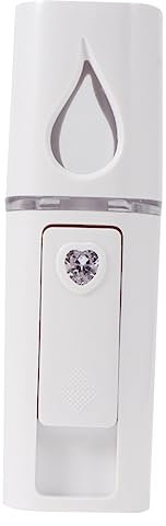 Beavorty Gesichtsdampfer mit Nano-nebelspray Kompaktes und Leichtes Tragbares Dampf-feuchtigkeitsgerät