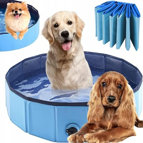 Taylor & Brown Piscine en plastique pour chien - Piscine portable en PVC pour chiens de grande taille - Piscine pour enfants et animaux domestiques - Pour intérieur/extérieur (120 cm de diamètre) x 30