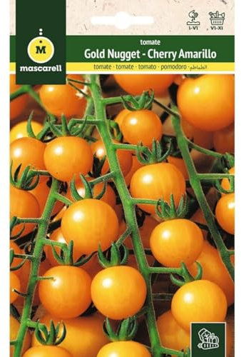 Mascarell Graines, tomates, graines potager, tomate Gold Nugget (Cherry jaune), créez votre propre potager urbain et culture à la maison, plantes horticoles, 0,2 g