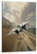XFPMXC F-14 Kampfflugzeug-Poster, dekoratives Gemälde, Leinwand, Wandkunstwerk, Bild 40 x 60 cm