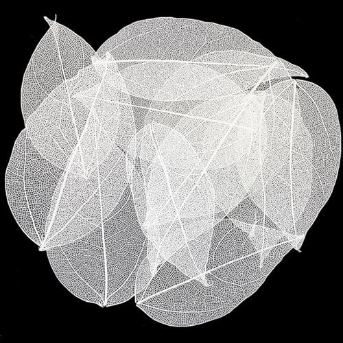 HAOBIN Lot de 50 feuilles artificielles décoratives - Guirlande de feuilles séchées - Pour le bricolage, le scrapbooking, la fabrication de cartes (blanc)