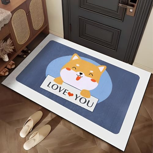 Guador Felpudo Alfombrillas para Puertas Felpudo de Bienvenida Felpudo Antideslizante Felpudo para Atrapar la Suciedad Alfombra Lavable Entrada Puerta Pasillo Cocina Dormitorio Cuarto Baño(Koki)