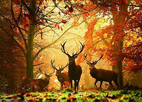 Jigsaw Puzzles 1000 Pieces for Adults Difficult Hard Jigsaw Puzzles for Women Men Premium Cardboard Precise Interlocking Elk Autumn(28 x 20 Inch)