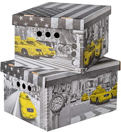 SOFTILLO Pack of 2 Decorative Storage Boxes with Lids – Stylish Box Organiser for Home Office, Wardrobe & Bedroom Organization – Multi-Use General Storage Set – Large New York