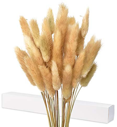 Getrocknete Pampasgras Deko, 35X Pampasgras Getrocknet, Kein Geruch Trockenblumen, Trockenblumenstrauß, Natürliche Getrocknete Blumendekoration(Braun)