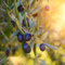 Olivenbaum Samen Winterhart Stauden MehrjäHrig Bonsai Baum Bio Saatgut Winterschutz Olivenbaum Pflanzensamen Zimmerpflanzen SäUlenobstbäUme Obst Frisch Baumsamen Bonsaibaum 8 Olive Tree Samen