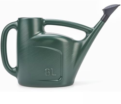 AXXTAN 6L Watering Can with Srinkler Rose Head - Plastic Watering Cans for Garden, Indoor & Outdoor Plants, Greenhouses & Houseplants, Long Spout Water Can (Green)