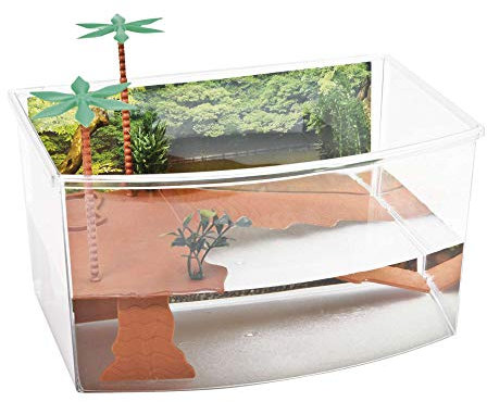 GP GP10625 Tortuguera Cuadrada Tartarughiera Quadrata, 1 unità (Confezione da 1)