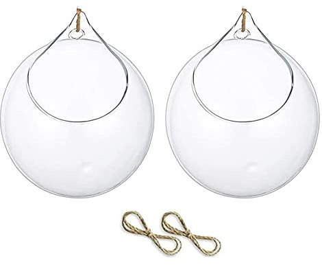 2pcs hängende Glaskugel Terrarium Succulenten Kugeln, Glas Pflanzer Großer Öffnungsluftfarn -Pflanzen Vase -Kleiderbügel, Succulents Pflanzer Globe Air Farn Pflanzen Halter Vase Hanger 10 cm