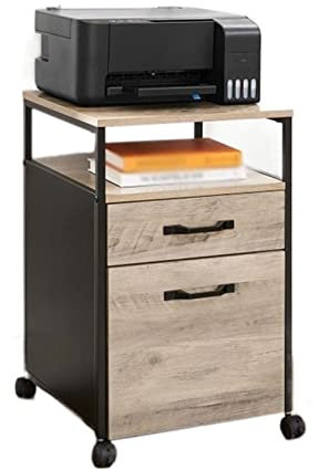 RHSH Druckerständer Industriestil Rolling File Drucker Ständer Regal Schrank Büroschrank auf Rollen mit 2 Schubladen Offenes Regal Hängemappen Büro Drucker Regal