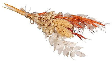 Rayher Mini ramo flores secas, tono marfil-naranja, 18-20 cm, flores naturales, 85491210