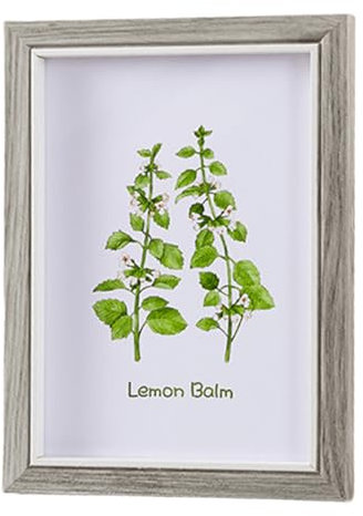 marysgift Bilderrahmen 20x15 Stabiles MDF-Holz Rahmen zum Aufhängen & Aufstellen, ideal für Fotos/Bilder/Collage (XK01403,8)