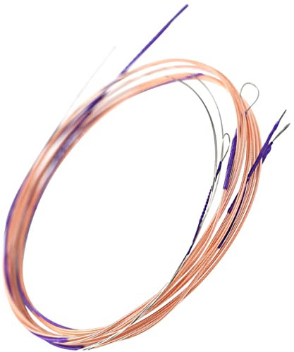 SHOWERORO 4stücke Teiliges Pipa Praktische Chinesische Lautensaiten Robuste Verschleißfeste Einzelsaiten Für Professionelle Pipa-spieler Und Übungszwecke