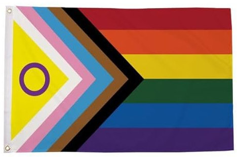 Flagmax - Bandiera Intersex progress pride, 90 x 150 cm