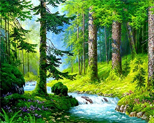 WOWDECOR DIY Malen nach Zahlen für Erwachsene Kinder Mädchen, Wald Grün Bäume Strom Landschaft 40x50cm Vorgedruckt Leinwand-Ölgemälde (ohne Rahmen)