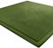 LEHOUR Verdickung Korallen Samt Teppich Kinder Krabbeldecke Weiche Tatami Teppiche Kinder rutschfeste Vergrößern Spielmatte (Dunkelgrün, 200 * 300CM)