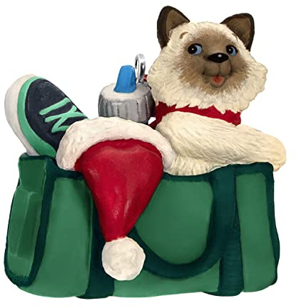 Hallmark Keepsake Weihnachtsdekoration 2022, schelmische Kätzchen, Mini-Baumschmuck, Kunststoff