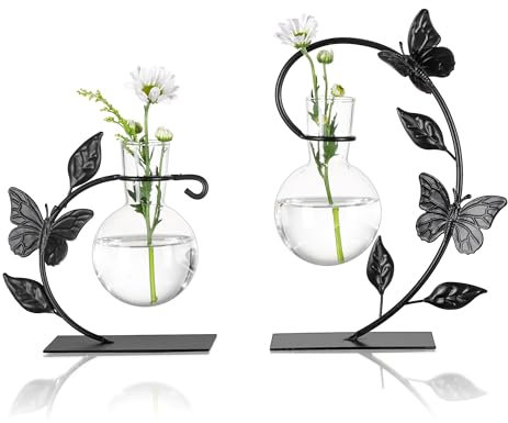 Glasseam Hydroponik Kleine Vasen für Tischdeko, Schreibtisch Vase Schwarz Terrarium Glas Propagation Station 2er, Kleine Glasvasen mit Kreative Schmetterling Metall Gerahmt, Deko Vase für Wohnkultur