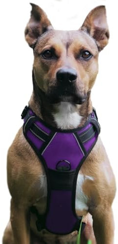 No Pull Hundegeschirr, Verstellbar Atmungsaktiv Reflektierend Weich Gepolstert Hunde Geschirr, Brustgeschirr für Hunde (Lila, XL)