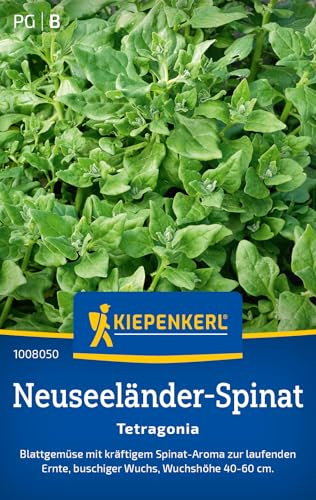 Kiepenkerl Neuseeländer-Spinatsamen Tetragonia 1008050, Gemüsesaat | Buschiger Wuchs, Wuchshöhe 40-60 cm, Salatpflanzen, Samen Anzucht, aromatisch