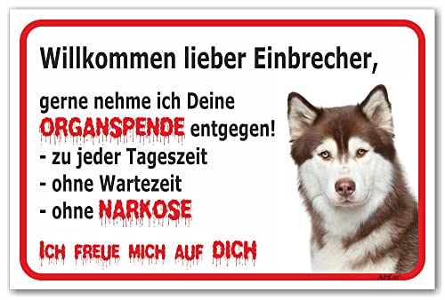 AdriLeo Schild - Vorsicht Husky - Willkommen Lieber Einbrecher - (20x30cm) / Achtung Hund Wachhund Siberian DarkRed Copper Kupfer